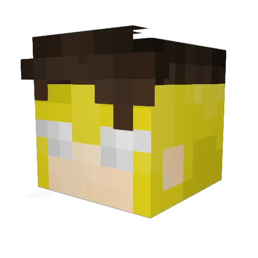 diga_ai_boy Minecraft avatar head, 3D render