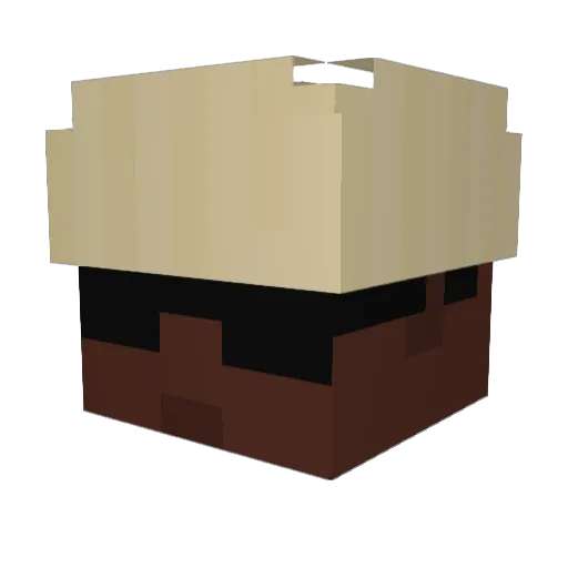 digador Minecraft avatar head, 3D render