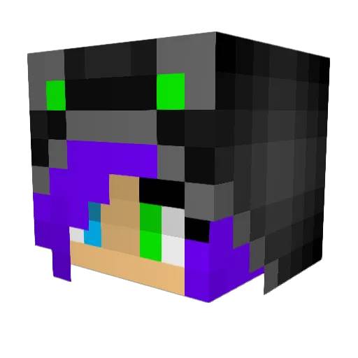 diggerdigz Minecraft avatar head, 3D render