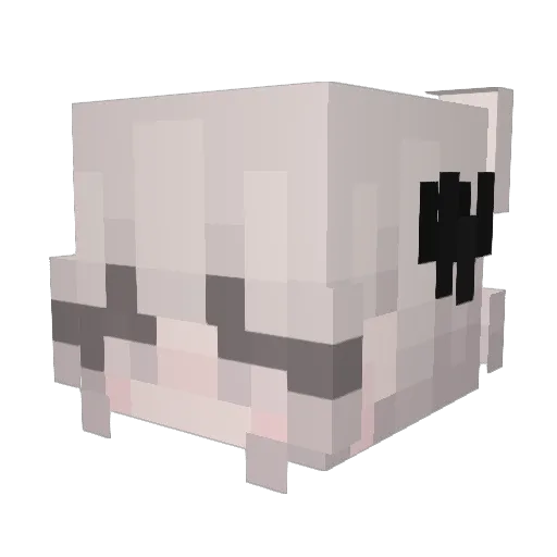 diggu79 Minecraft avatar head, 3D render