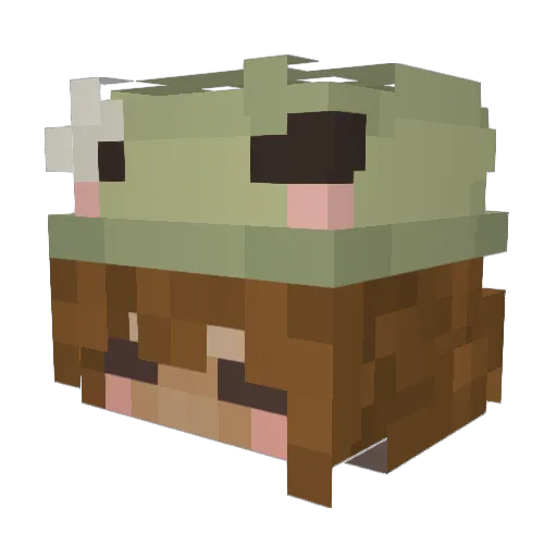 diggysnail Minecraft avatar head, 3D render