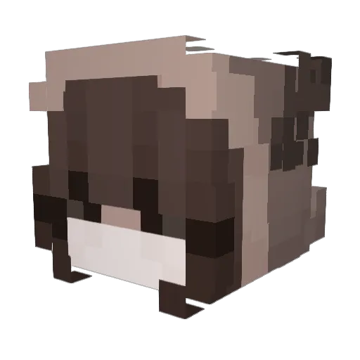 digi10101 Minecraft avatar head, 3D render