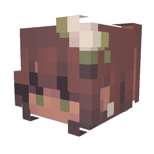 digibot Minecraft avatar head, 3D render