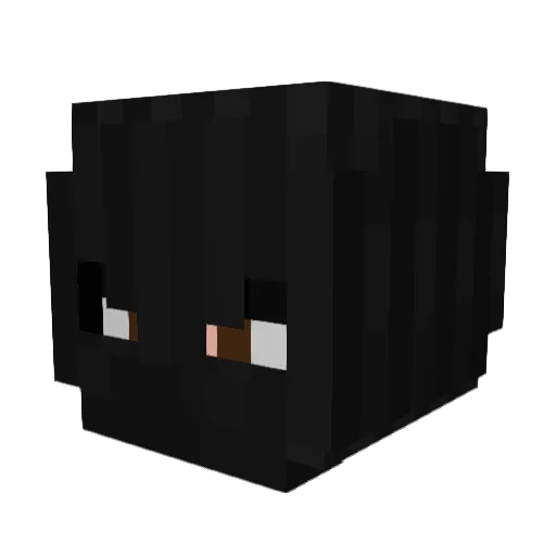 digital_jaguar69 Minecraft avatar head, 3D render