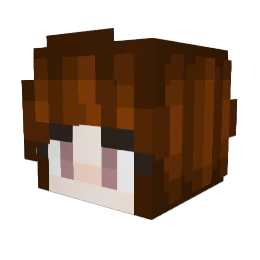 digitalinsanity Minecraft avatar head, 3D render