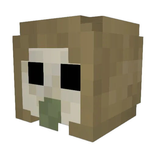 digitalsmudge Minecraft avatar head, 3D render