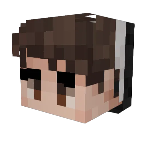 digitalswamp Minecraft avatar head, 3D render