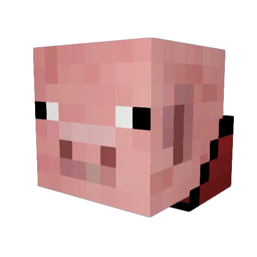 dih_cheese6767 Minecraft avatar head, 3D render