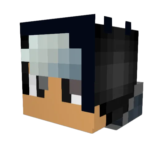 diidelphiis Minecraft avatar head, 3D render
