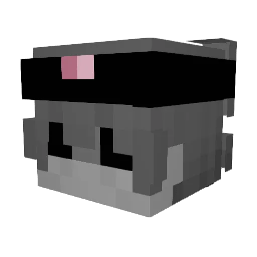 diked Minecraft avatar head, 3D render