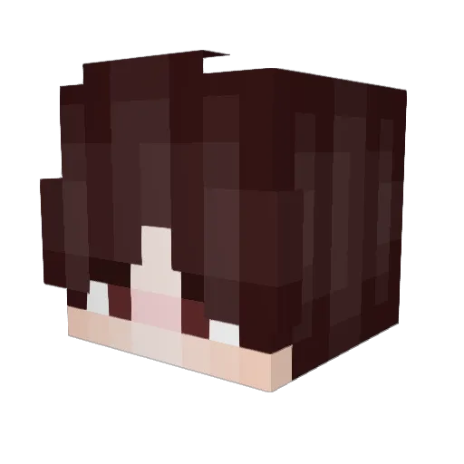 dikopijo Minecraft avatar head, 3D render
