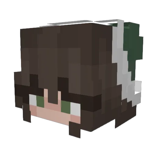dil_emma05 Minecraft avatar head, 3D render