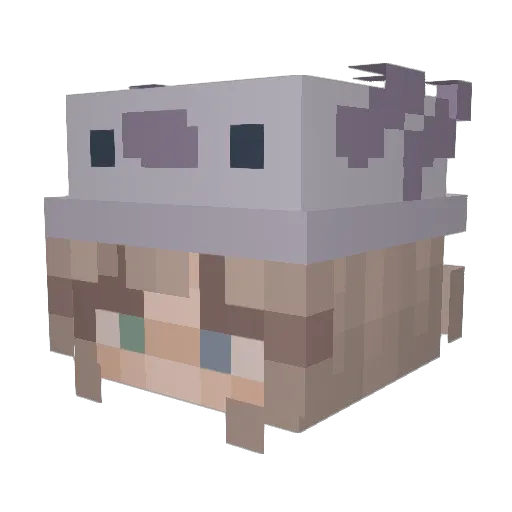 dilaraowo Minecraft avatar head, 3D render