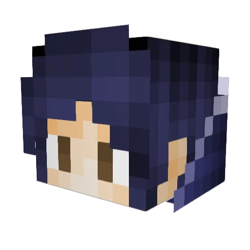 dilet3d Minecraft avatar head, 3D render