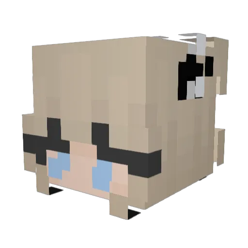 dilf_slayer69 Minecraft avatar head, 3D render