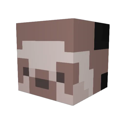 dilflover4eva Minecraft avatar head, 3D render
