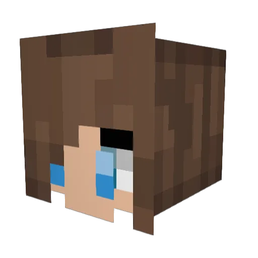 dill0 Minecraft avatar head, 3D render