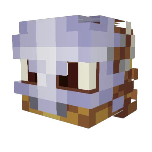dill_2 Minecraft avatar head, 3D render