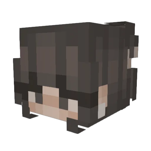 dillo1029 Minecraft avatar head, 3D render