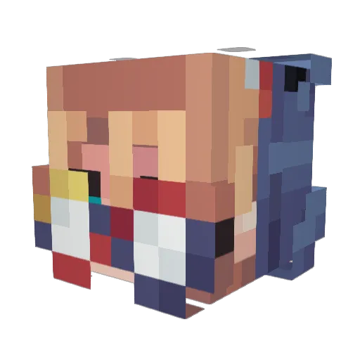 dillpikcles Minecraft avatar head, 3D render