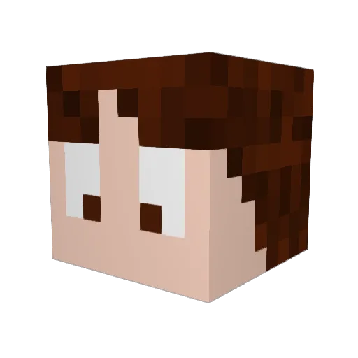 dilly474 Minecraft avatar head, 3D render
