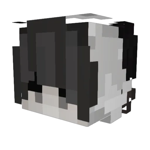 dilo47 Minecraft avatar head, 3D render