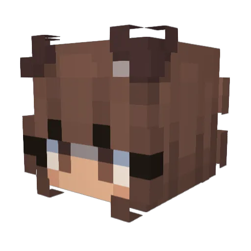 diloVY Minecraft avatar head, 3D render