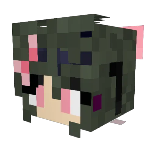 dilokitty Minecraft avatar head, 3D render