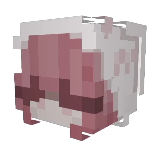 dilucscs Minecraft avatar head, 3D render