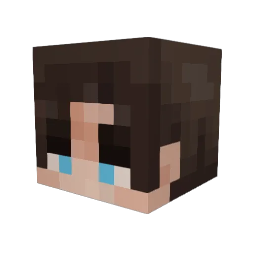 dim_o4_ko Minecraft avatar head, 3D render