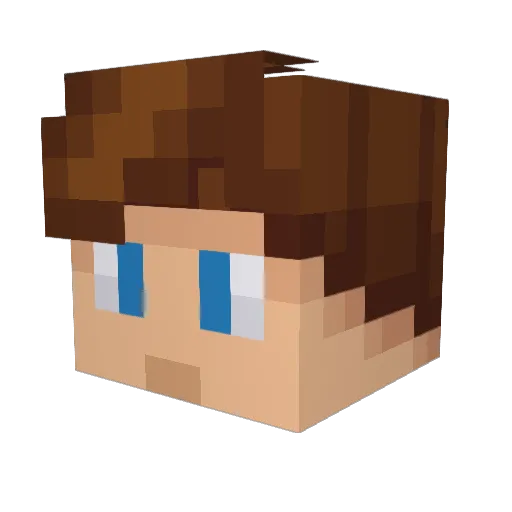 dimondsforall Minecraft avatar head, 3D render