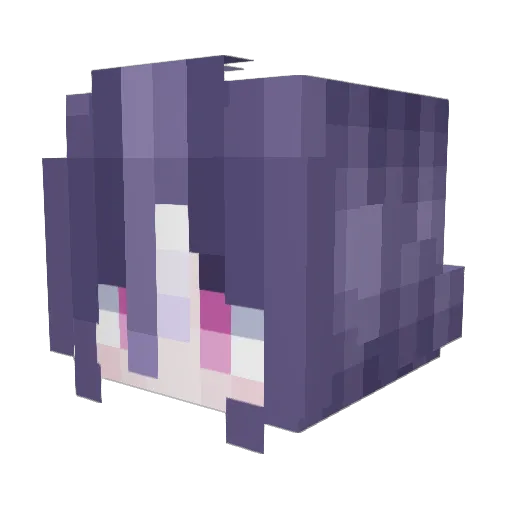 dinaxZ Minecraft avatar head, 3D render