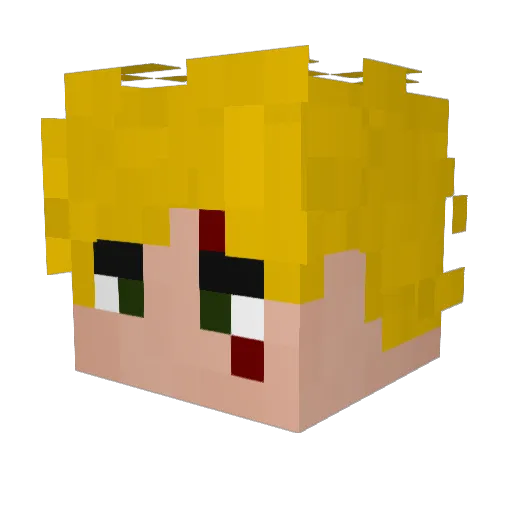 dindonbumik Minecraft avatar head, 3D render
