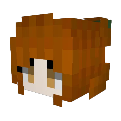 dindonick Minecraft avatar head, 3D render