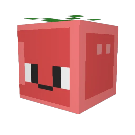 dineda Minecraft avatar head, 3D render