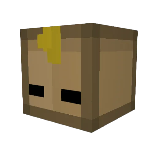 dingledoom Minecraft avatar head, 3D render
