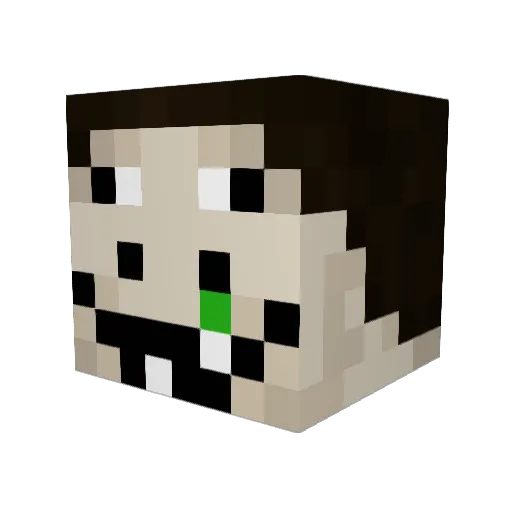 dinglemonkey Minecraft avatar head, 3D render