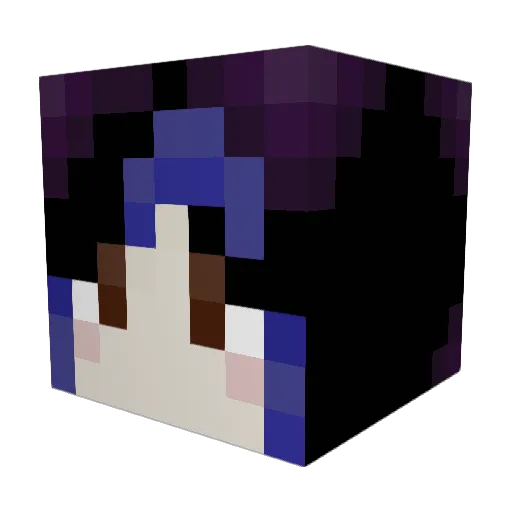 dinglewrinkle Minecraft avatar head, 3D render