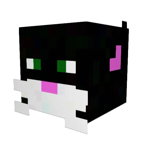 dingocat Minecraft avatar head, 3D render