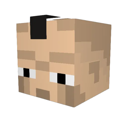 dingophone Minecraft avatar head, 3D render