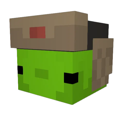 dingus_is_cool Minecraft avatar head, 3D render