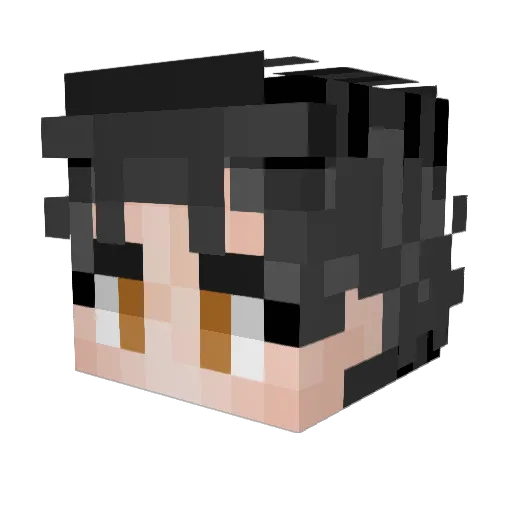 dinguslover Minecraft avatar head, 3D render