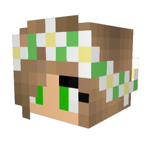 dini11 Minecraft avatar head, 3D render
