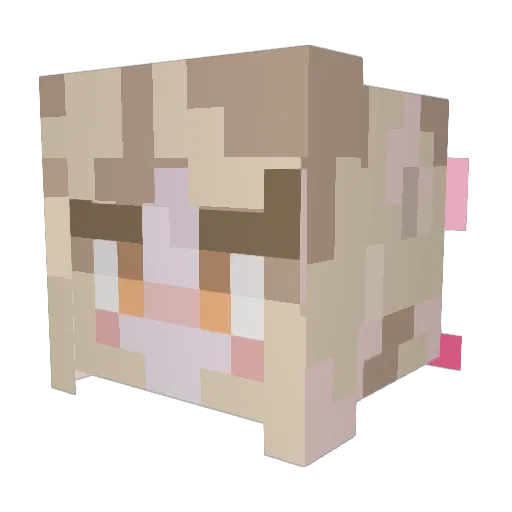 dinniana Minecraft avatar head, 3D render