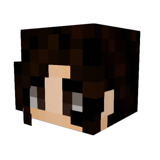 dino_nuggets37 Minecraft avatar head, 3D render