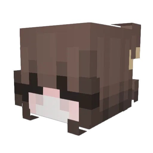dinonugget4lyfe Minecraft avatar head, 3D render
