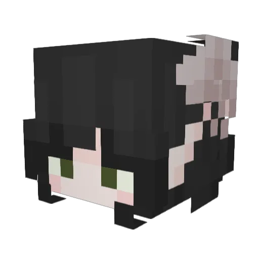 dinonuggets2414 Minecraft avatar head, 3D render