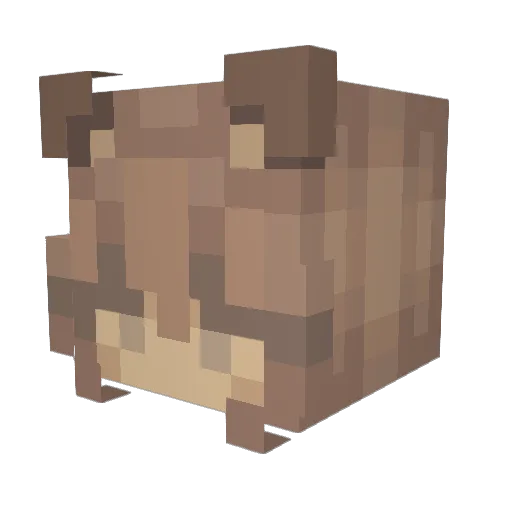 dinonugggett Minecraft avatar head, 3D render