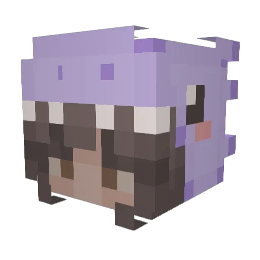 dinonuggiesss Minecraft avatar head, 3D render