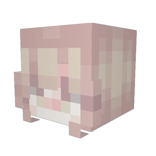 dinoo08 Minecraft avatar head, 3D render